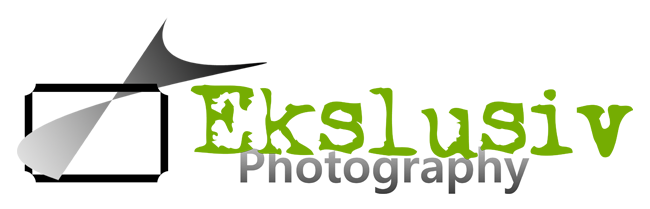 Ekslusiv Logo
